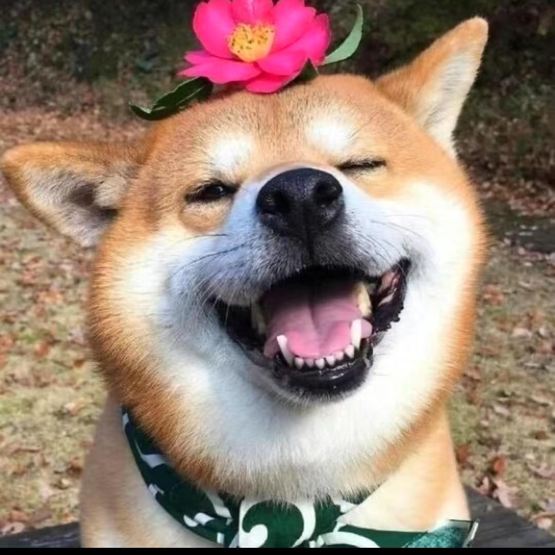 陀螺