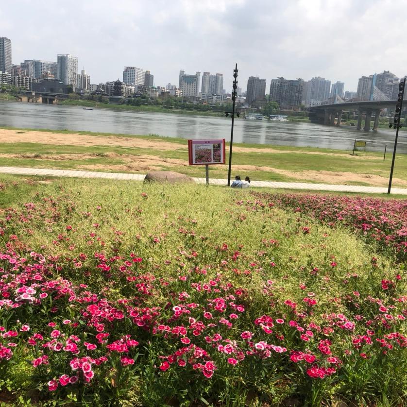 篮球的事情