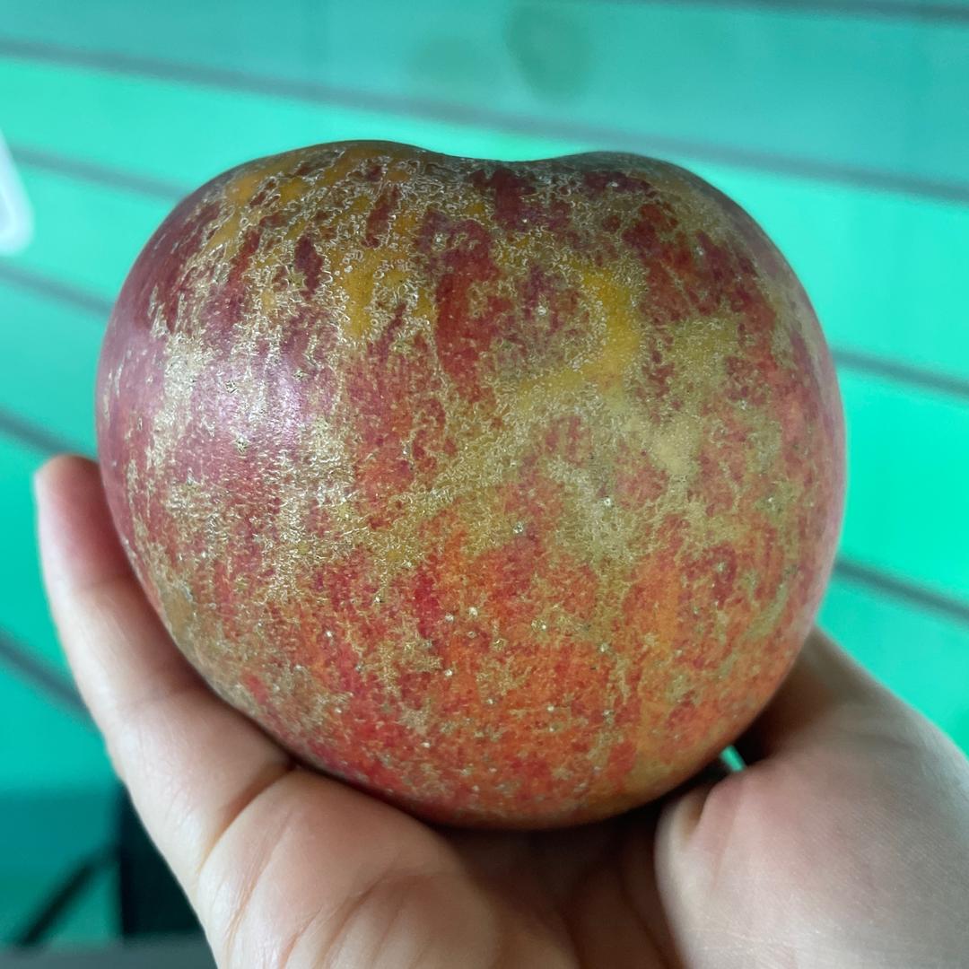 柳州猪脚源头工厂