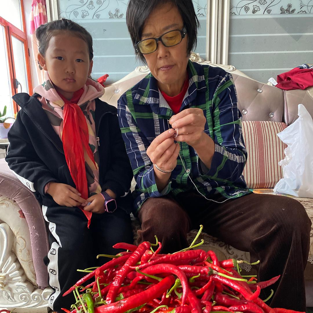 李红东北农产品