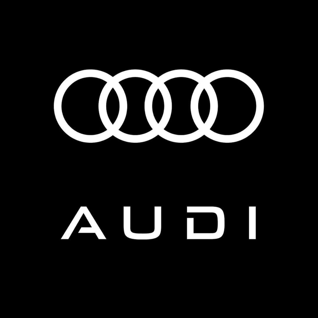 奥迪显眼主包星星