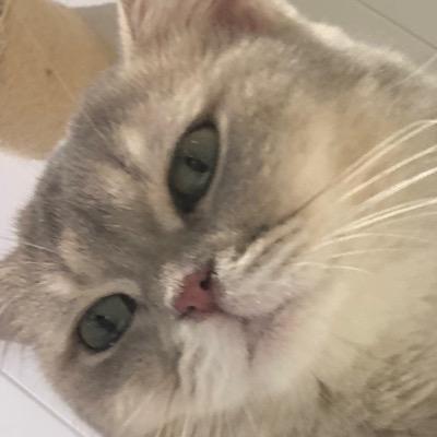 沫沫睡不醒