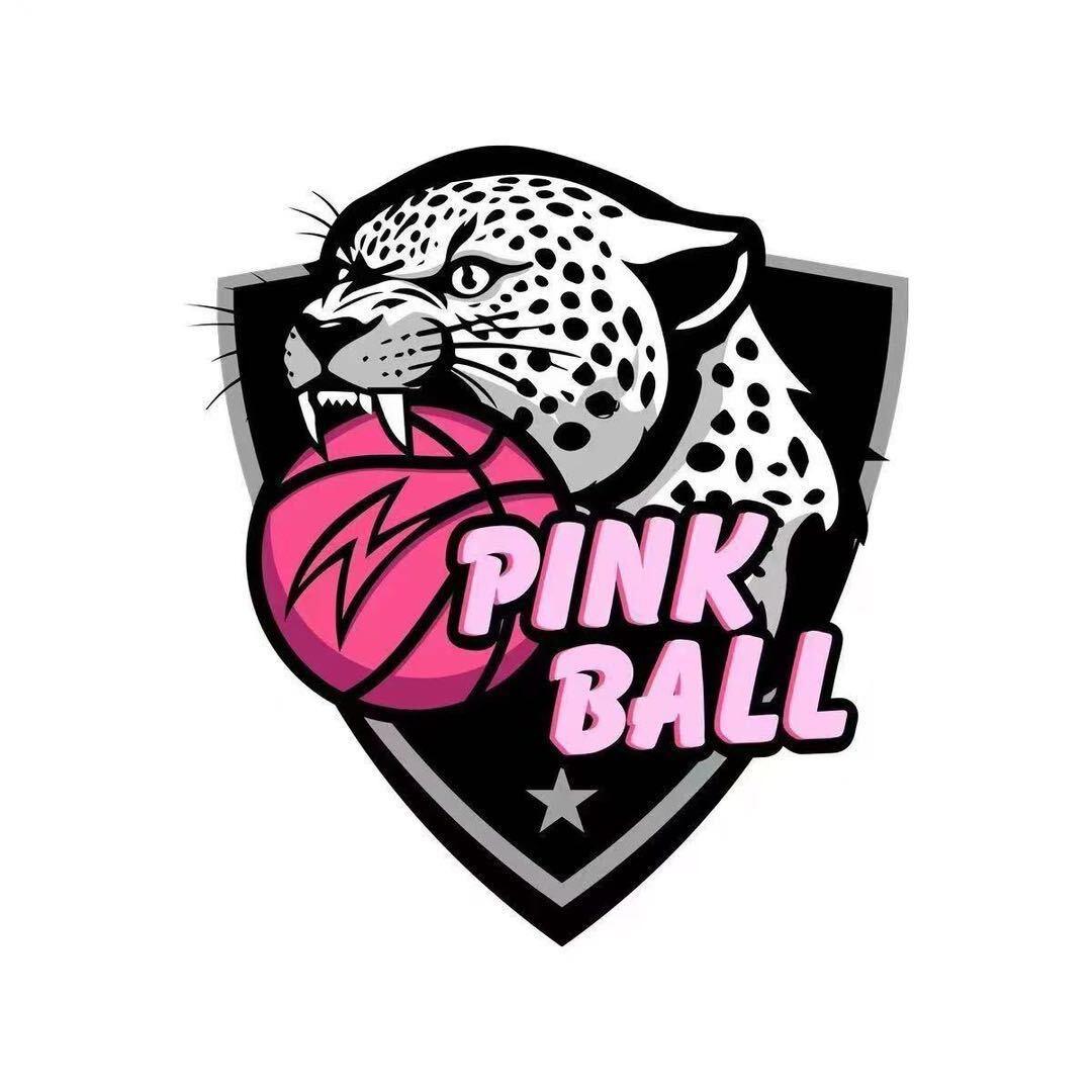 小粉豹篮球俱乐部