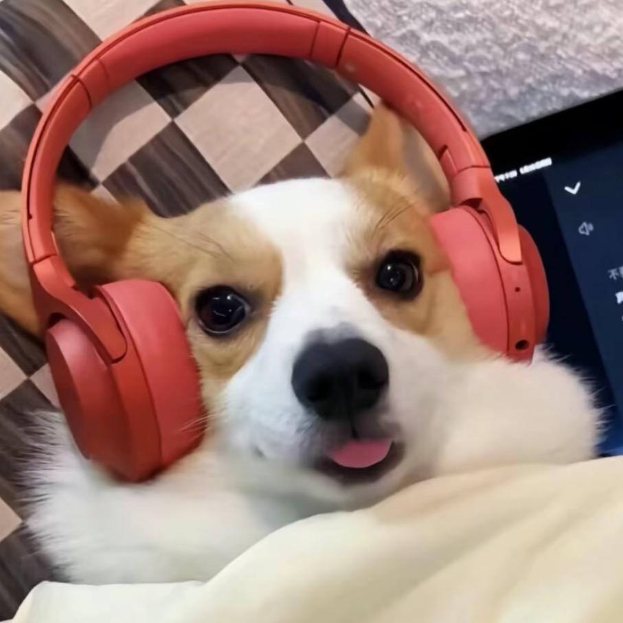 爱玩游戏的小树🌲