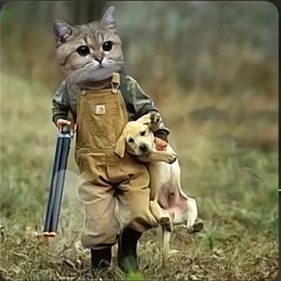 梦幻西游五条人