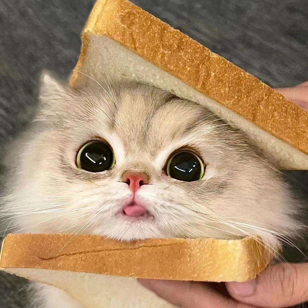 八九不离食