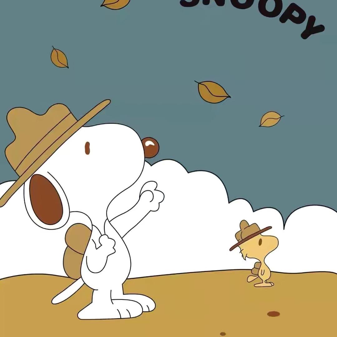 爱蹦哒的小跳蛙