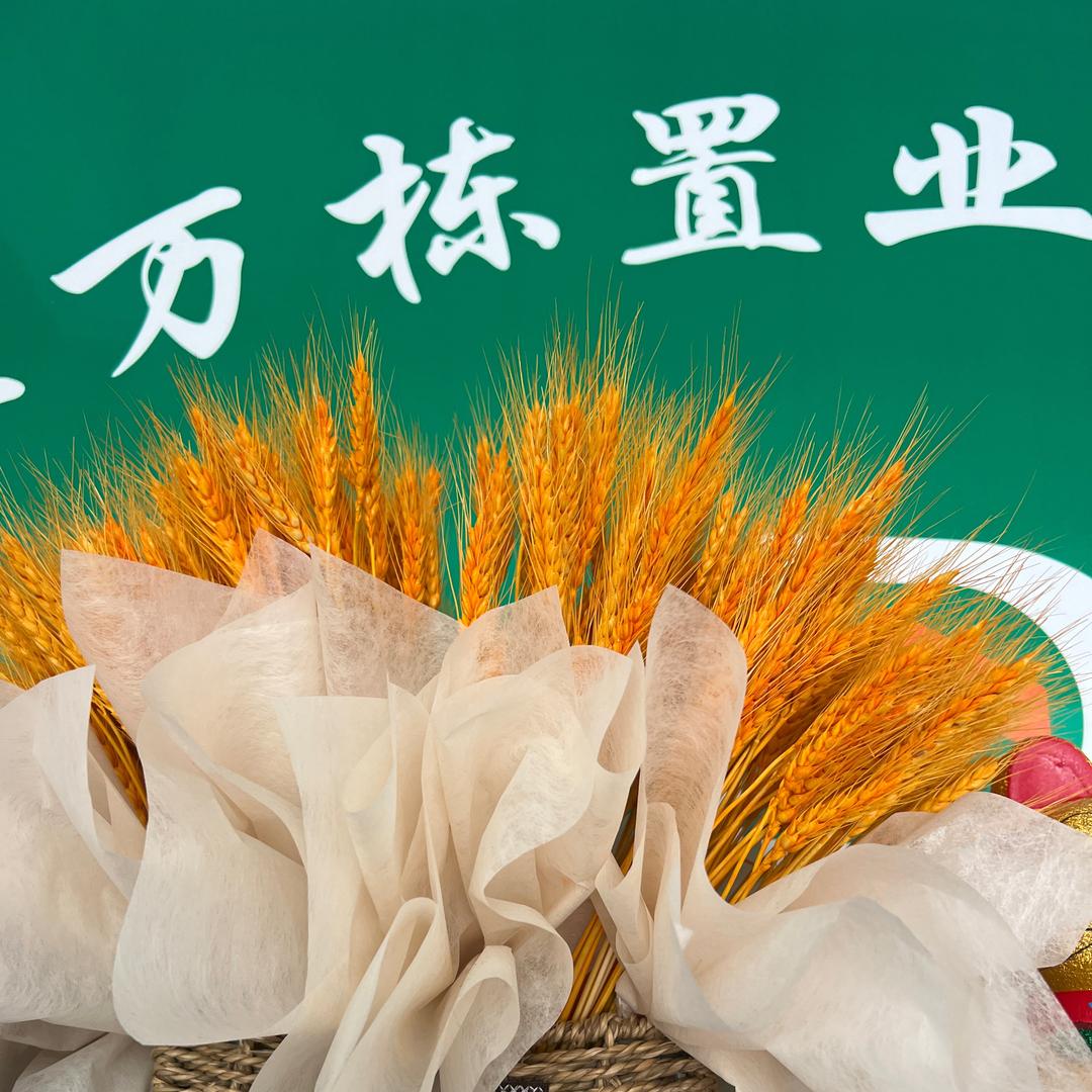 我叫小栋