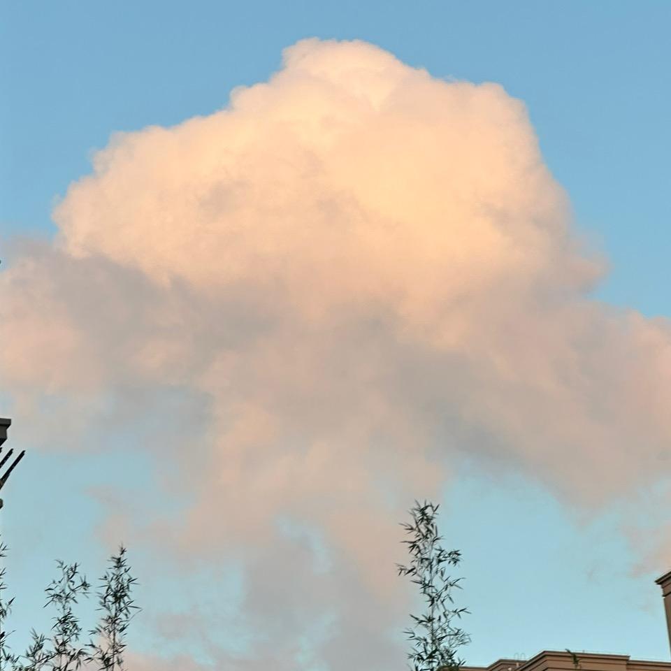 吃喝玩乐的小号