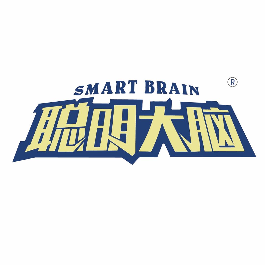 ＂聪明大脑＂木制益智玩具