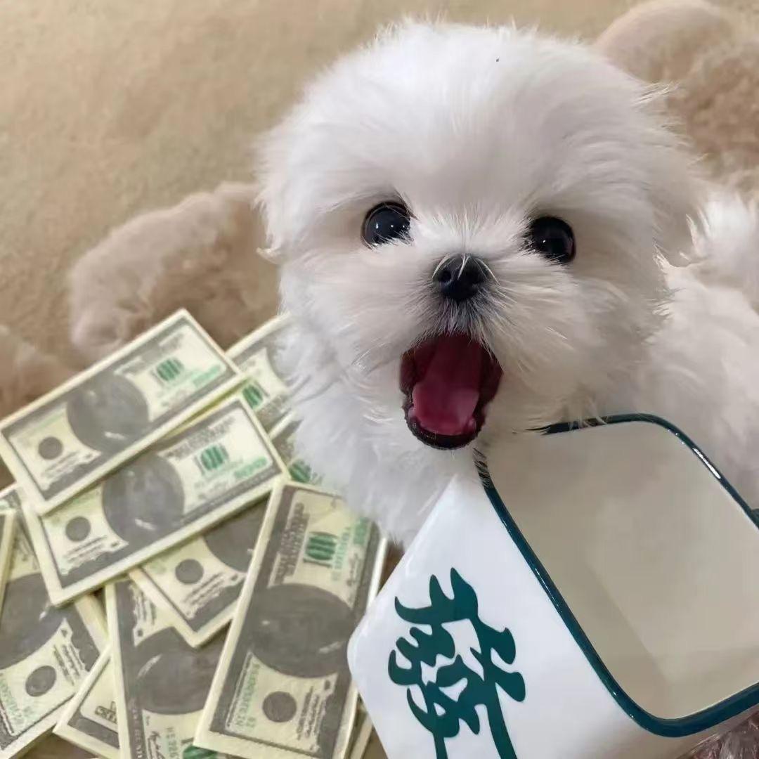 吃饱饱