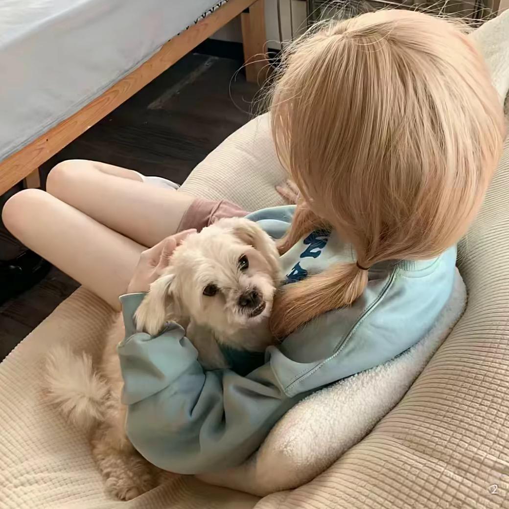 愿.