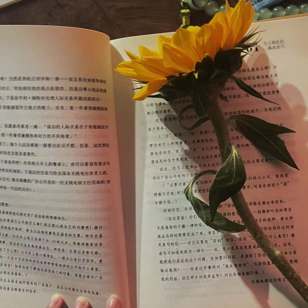 丶时叙