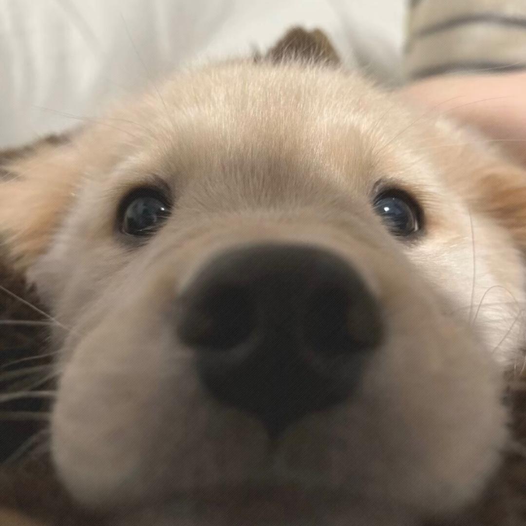 就爱打点小台球.