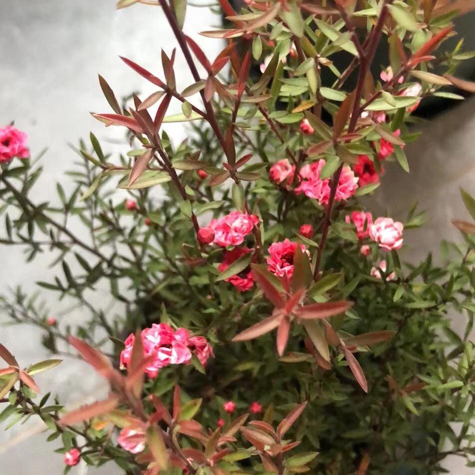 是悠闲的闲人🤫🙈
