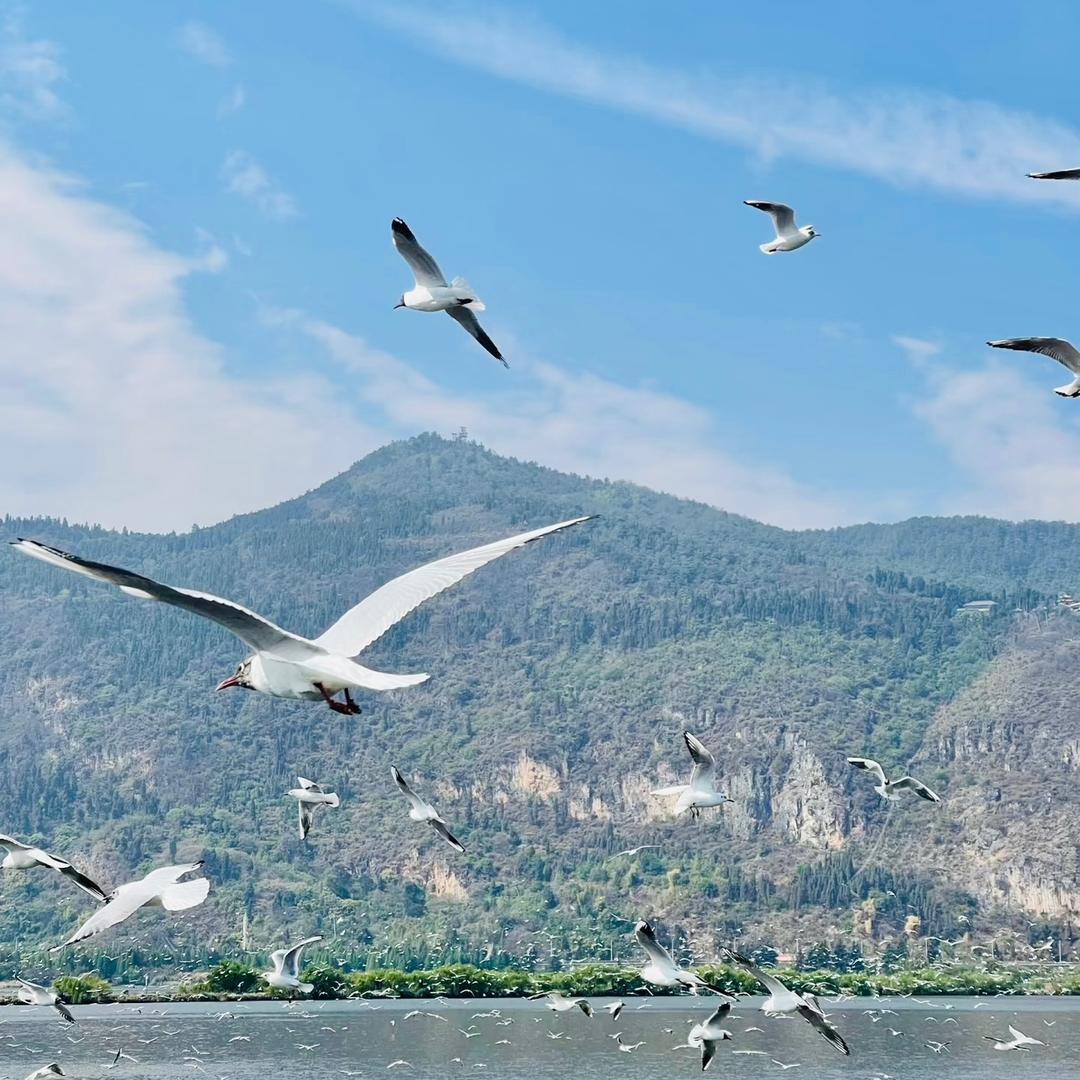 大厂汇报能提提升记录