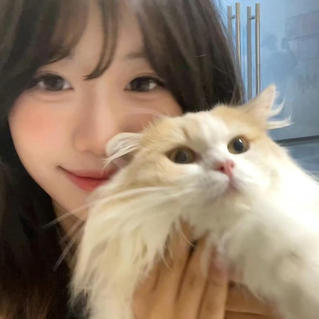 不吃豆泡🫧