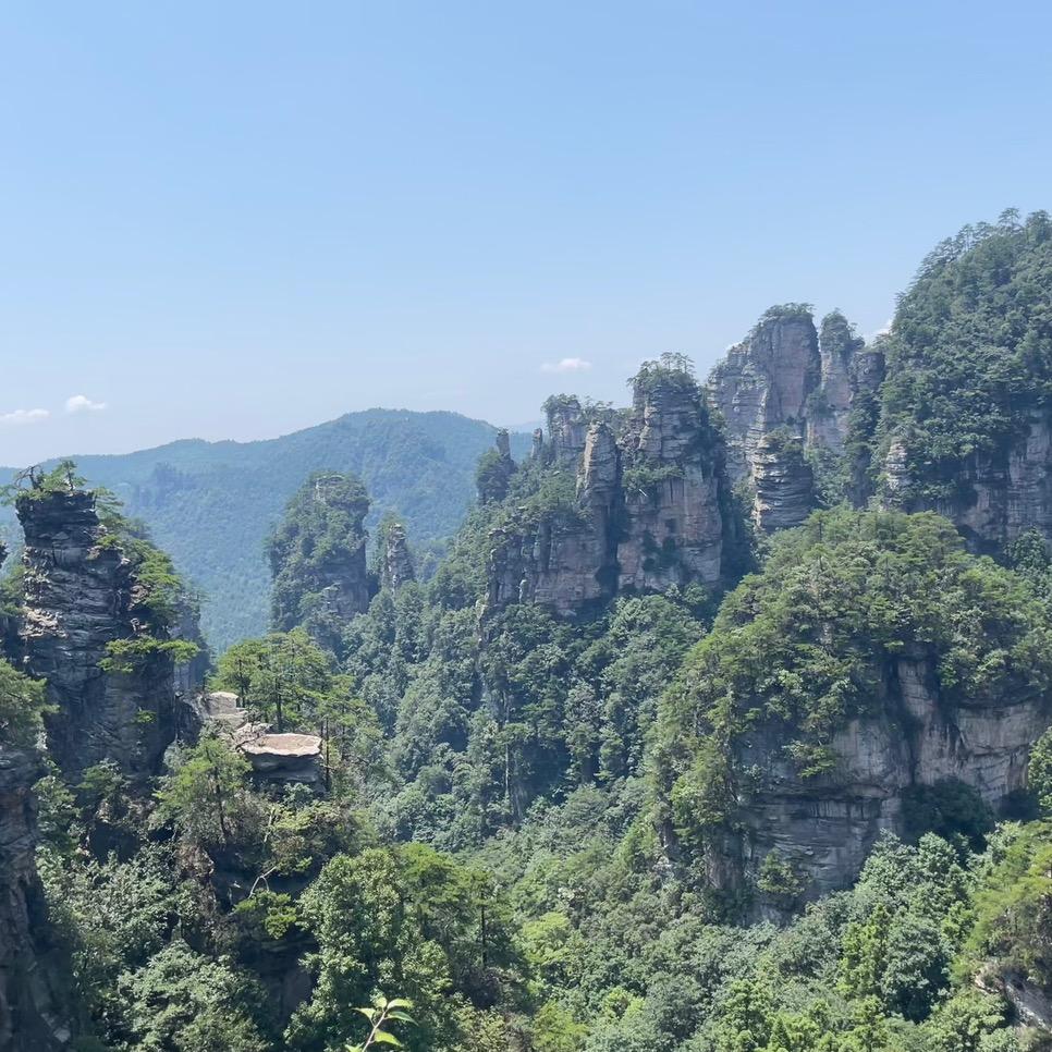 吉林省冬原商贸有限公司品牌号