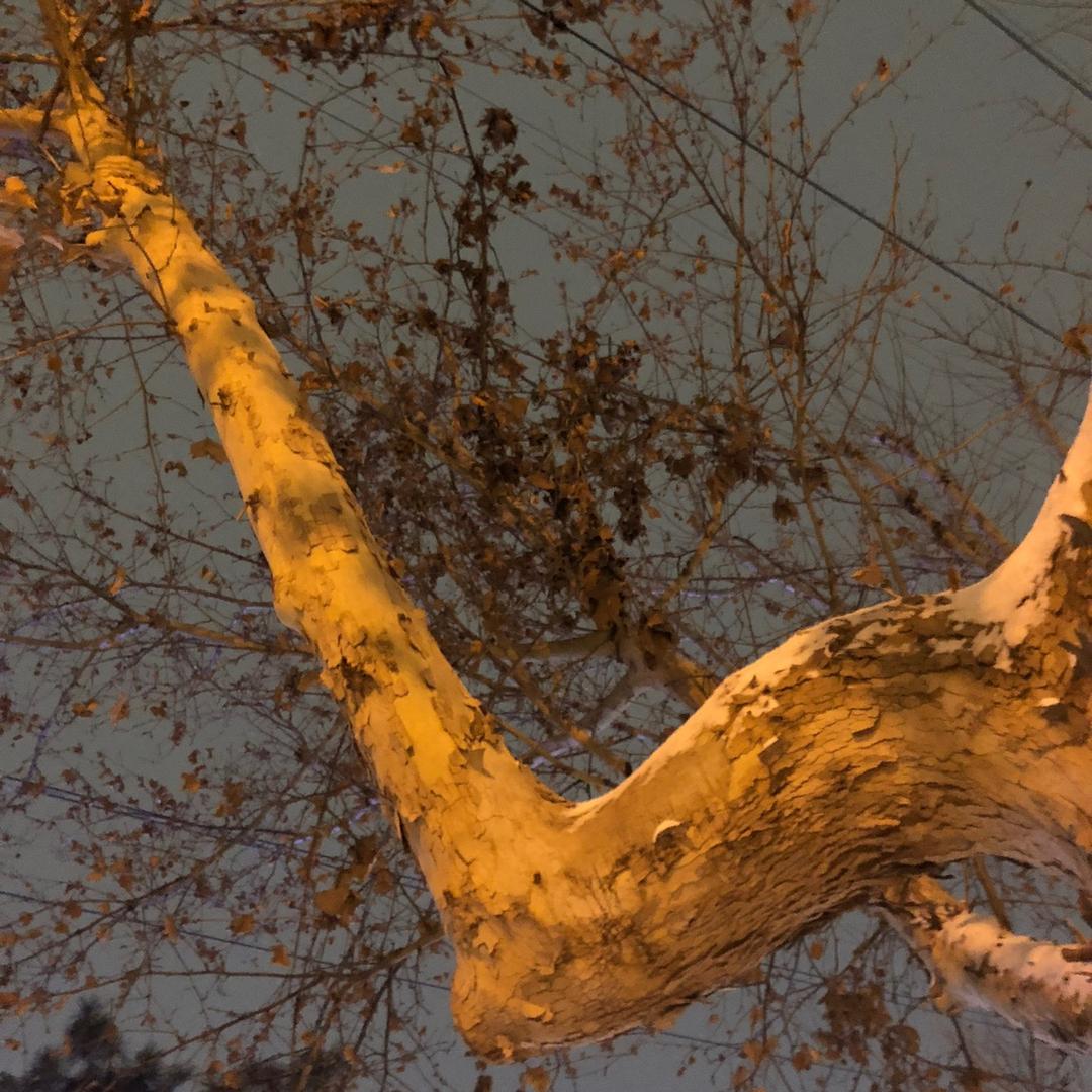 江口建材店邱邱直播号