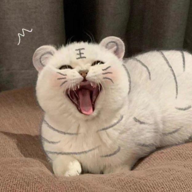 წ(˘ʚ˘美