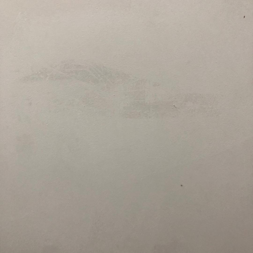试点建设