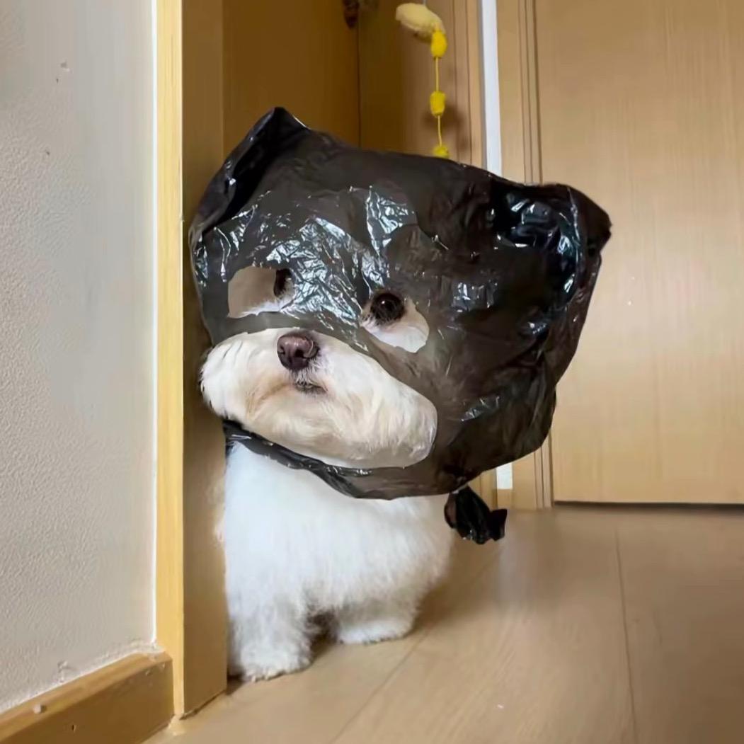 榴莲不臭~