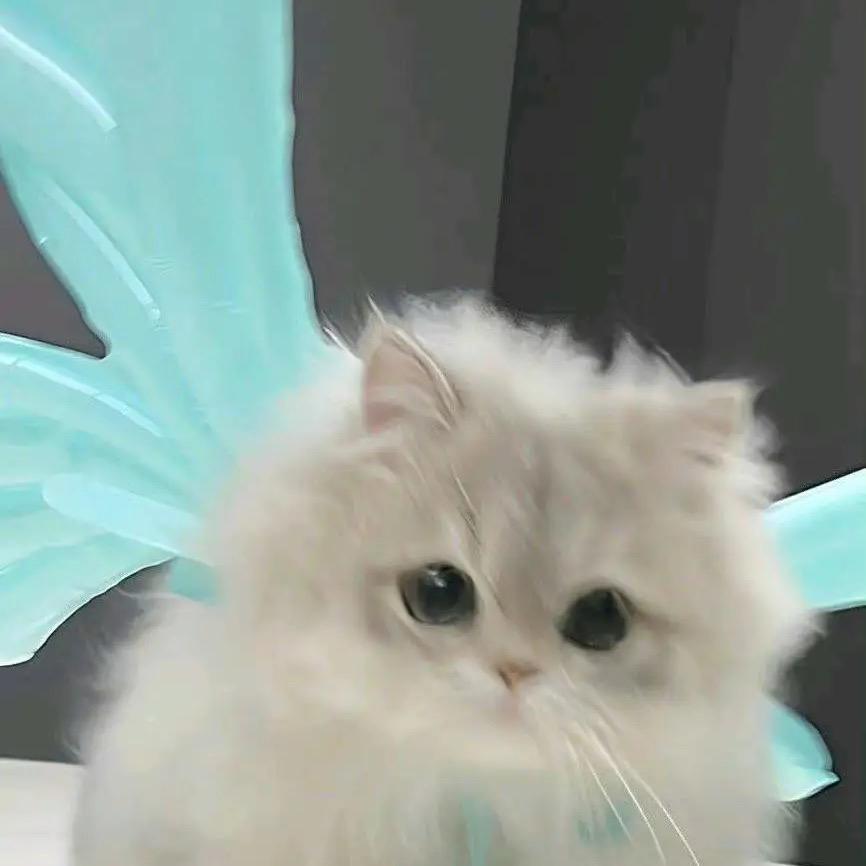 千年老妖鉴