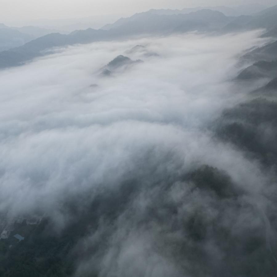 游戏渡人生