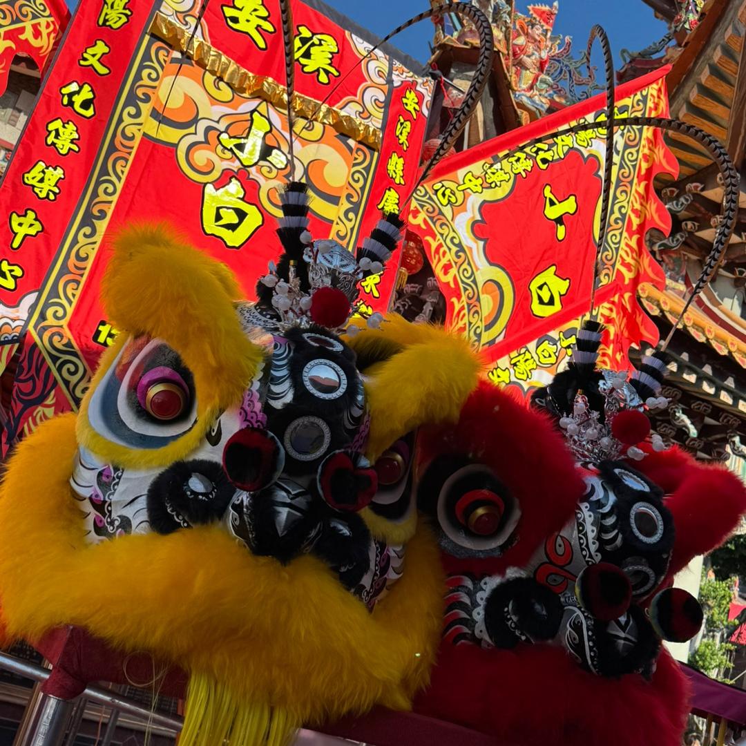 安溪小白阳舞狮传媒