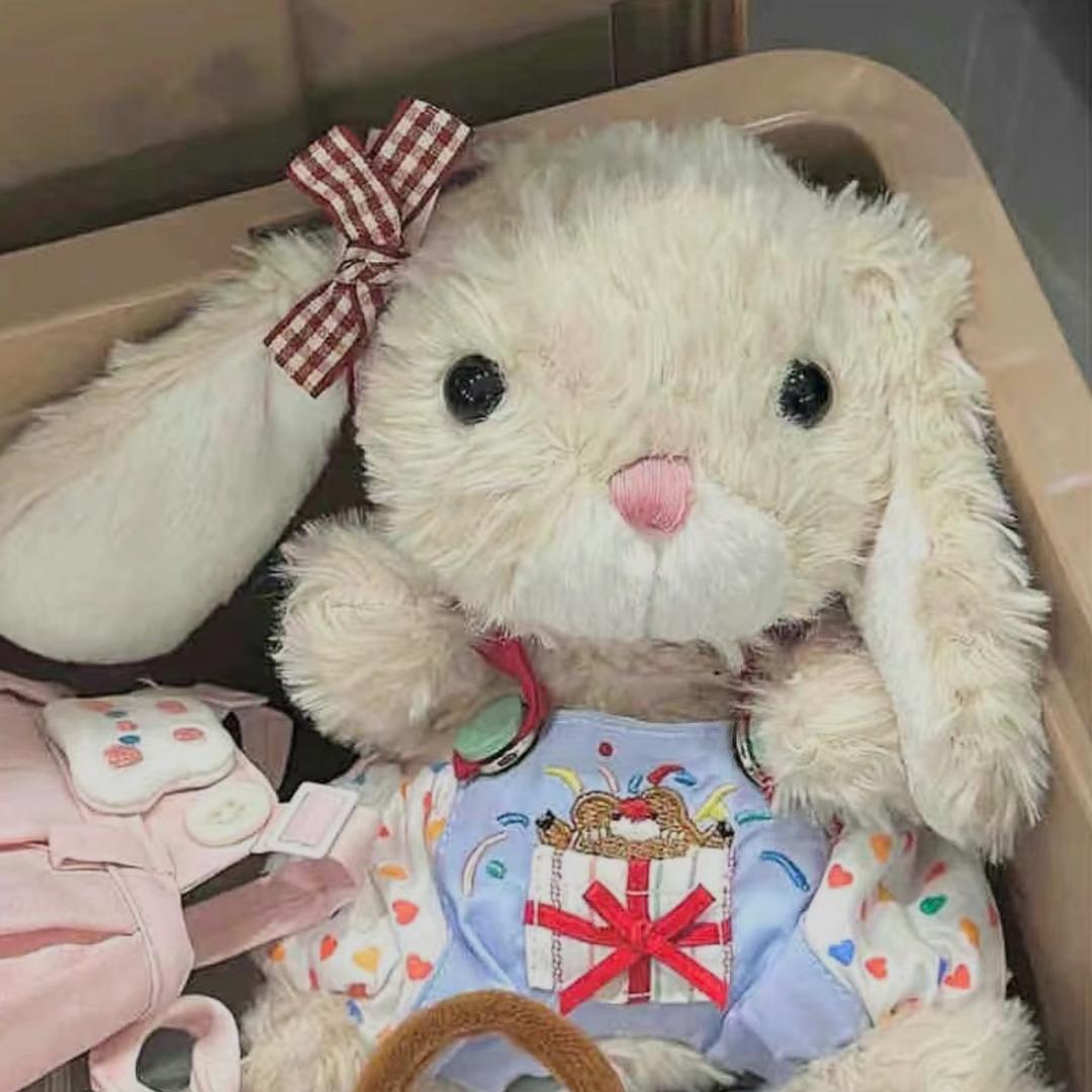 苏小呆
