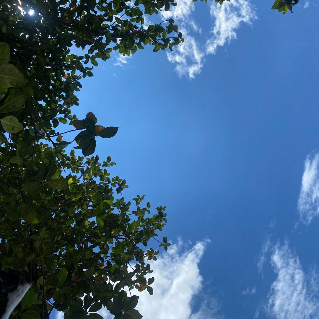 涛涛