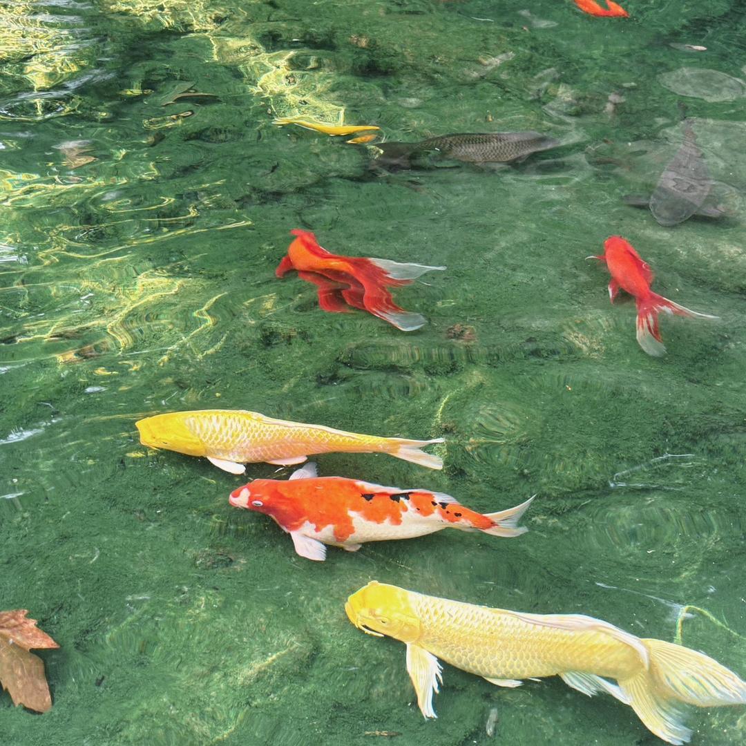 大悟县炎夏想文艺馆