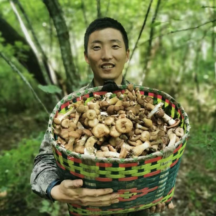 林区管大鹤