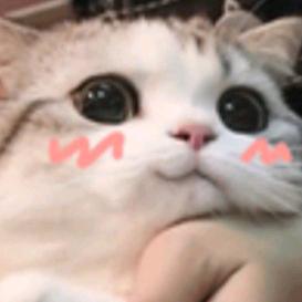 在你右边