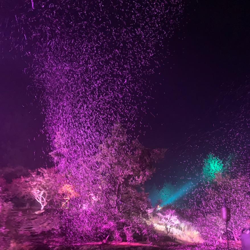 桃花源记实景演出