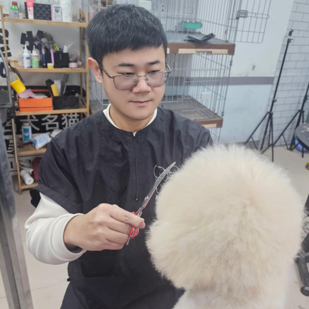 小齐的养宠日记