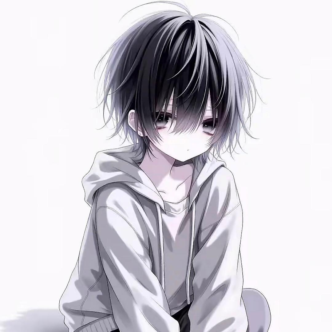 王者荣耀小勇OVO（百段辅助）