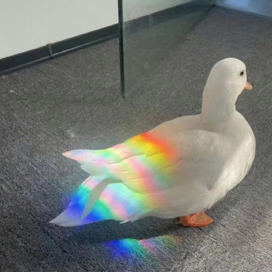 dueugevdhdj