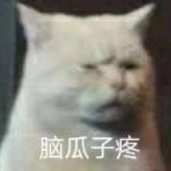 猫儿