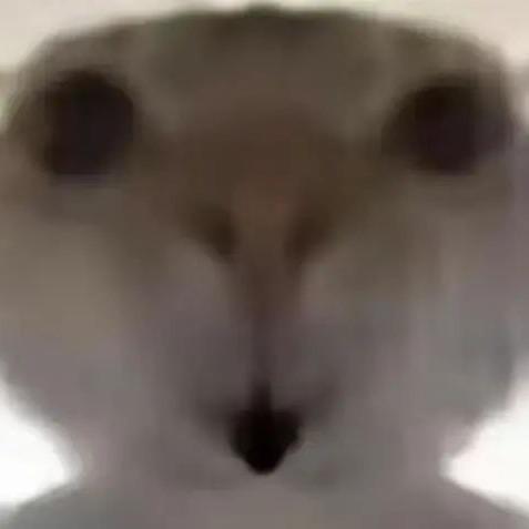 睡觉（啥都玩行动）