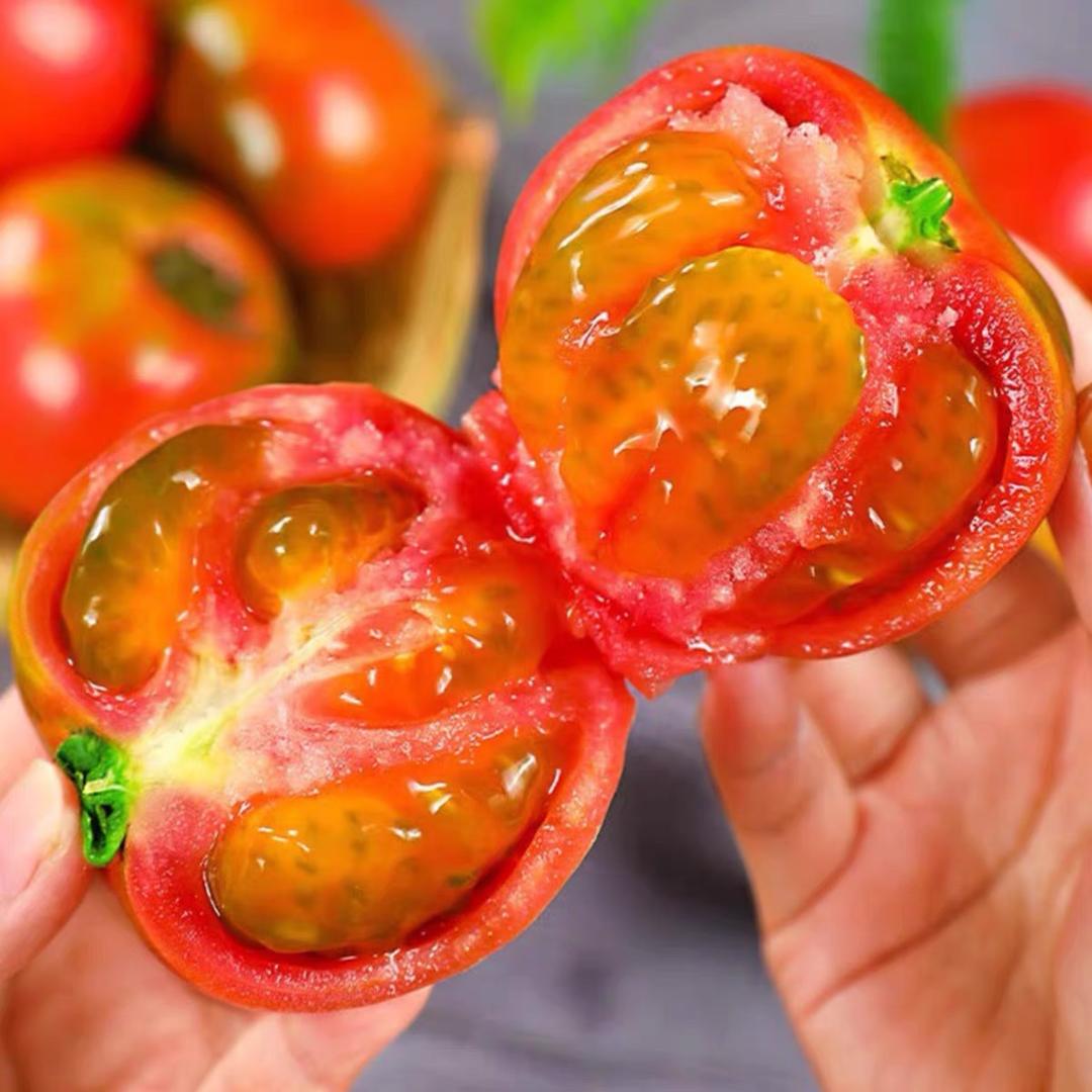 光头强碱地柿子