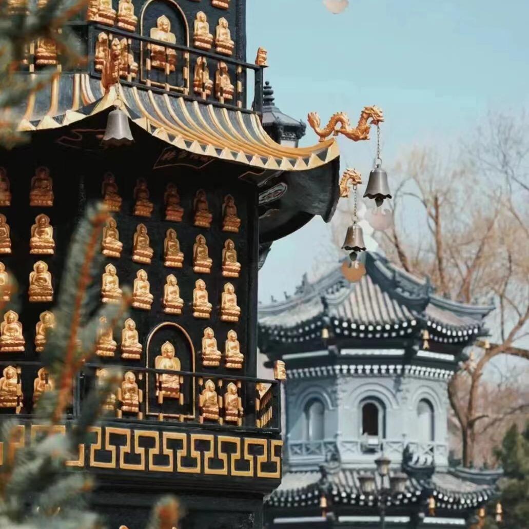 宋李李