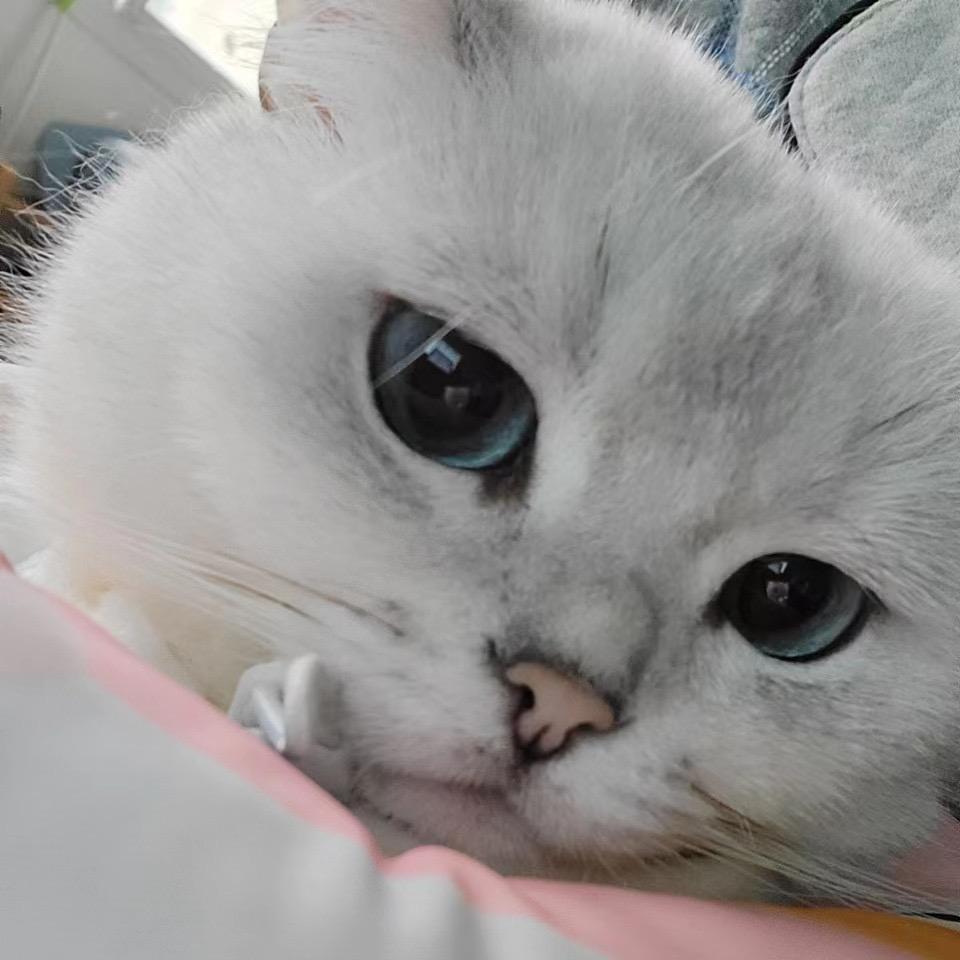 地瓜爱出门