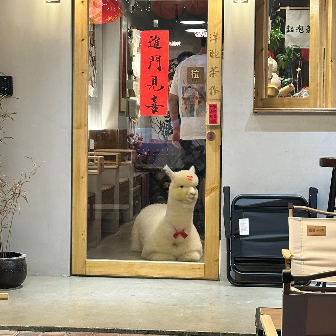 三只喵私物
