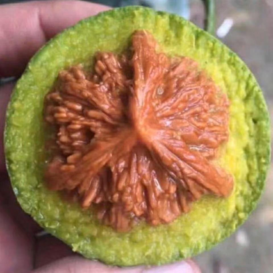 永信文玩