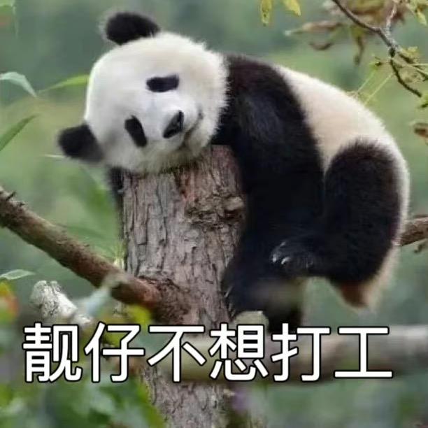 不想洗头