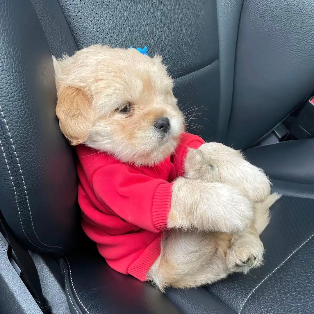 明天捡到五个亿