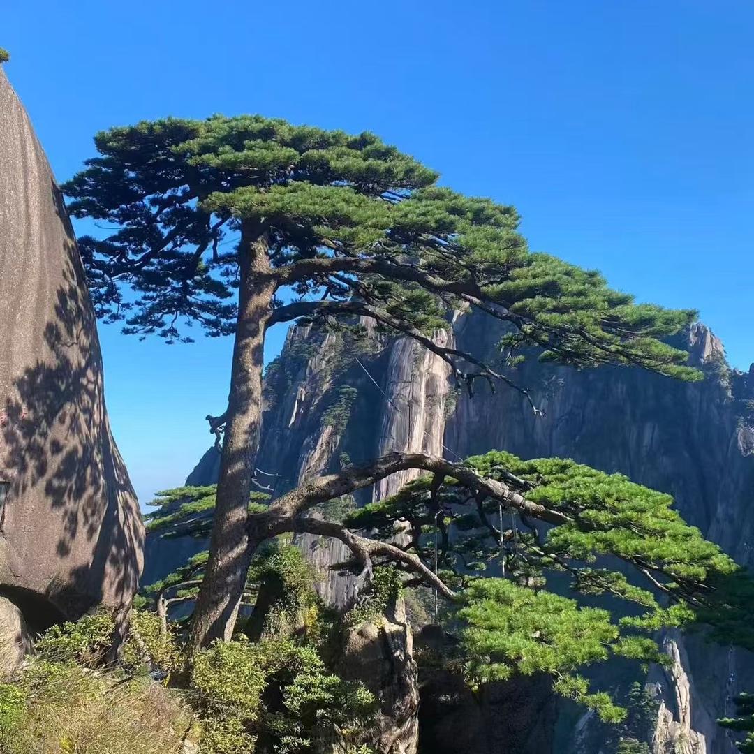 辉途国际旅行社（黄山）