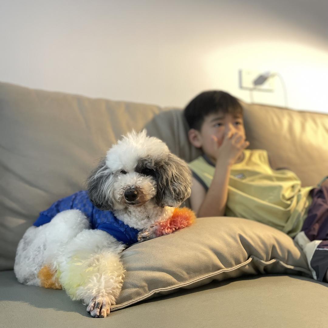 柜姐🐶都不干？我干