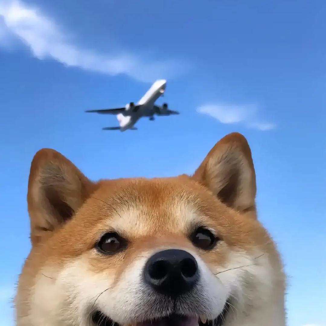 鲁西南仓